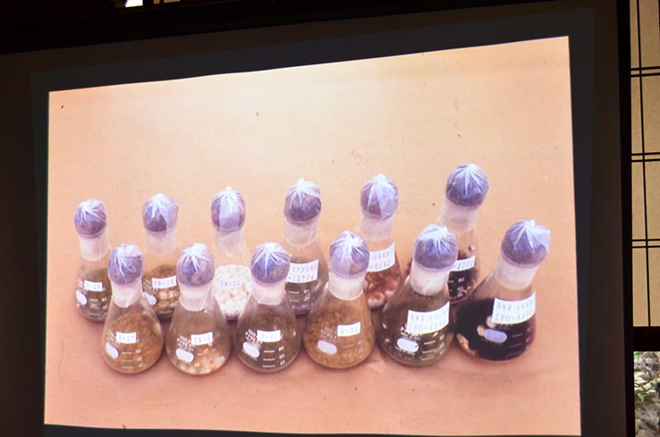 麹菌はお米に生やした状態で保存